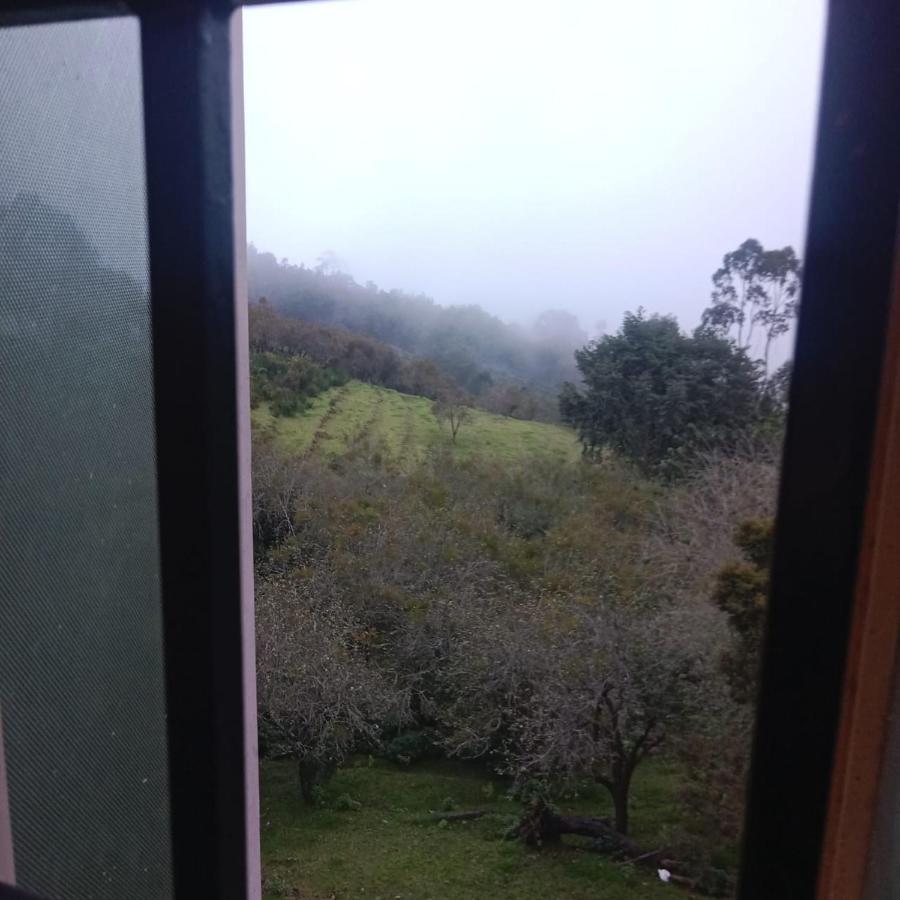 Olive Rooms Kodaikanal With Wifi, Spacious Rooms, Parking エクステリア 写真